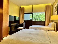 Allanbrooke Road (D4), Terrace #457118061